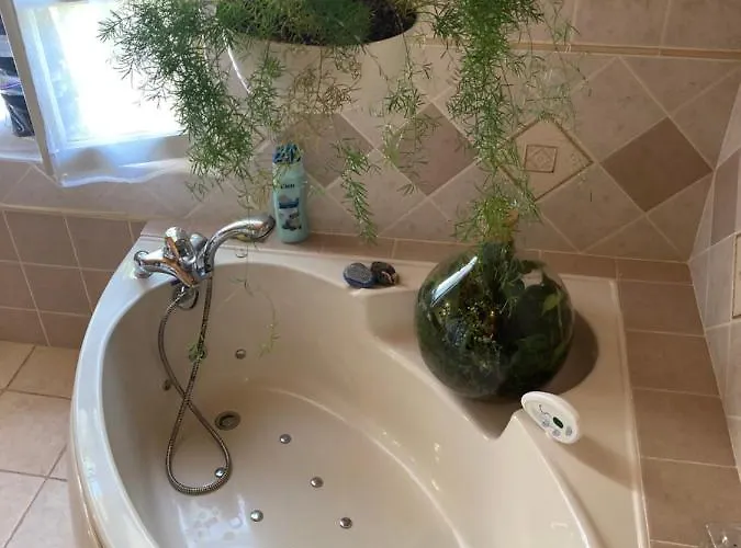 Entre Vigne Et Camargue * Générac