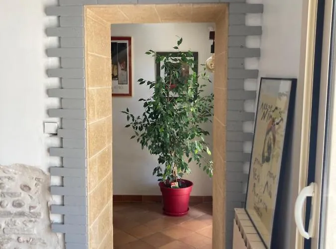 Villa Entre Vigne Et Camargue